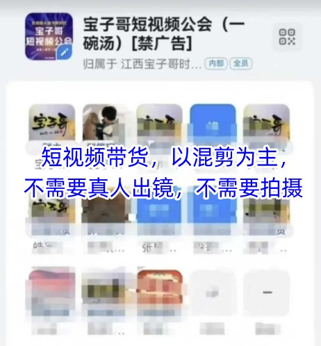 宝子哥头部团队短视频带货，以混剪为主，不需要真人出镜，不需要拍摄【更新26年3月】-酉宸轻创社