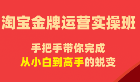 飓风电商·淘宝金牌运营实操班-酉宸轻创社