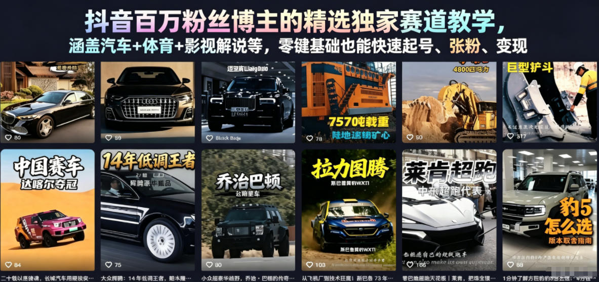 抖音百万粉丝博主的精选独家赛道教学，涵盖汽车+体育+影视解说等，零基础也能快速起号、涨粉、变现-酉宸轻创社
