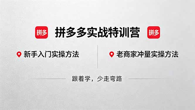 拼多多实战特训营(更新5月15-酉宸轻创社