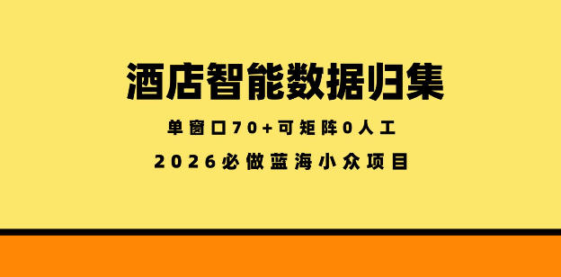 酒店智能数据归集，小众蓝海已经稳定半年之久，单窗口70+零成本矩阵开干【揭秘】-酉宸轻创社