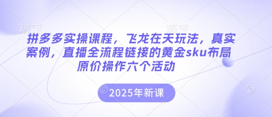 拼多多实操课程，飞龙在天玩法，真实案例，直播全流程链接的黄金sku布局原价操作六个活动-酉宸轻创社