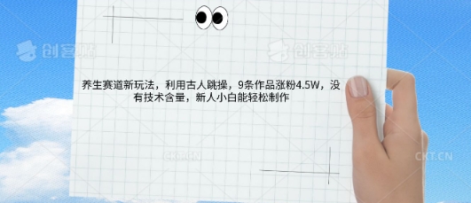 AI养生赛道新玩法，10条作品涨粉5.2W，操作简单，新人小白能轻松制作-酉宸轻创社