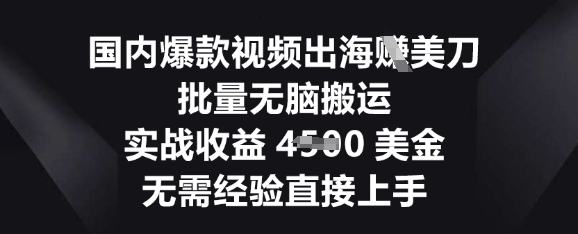 国内爆款视频出海挣美刀,批量无脑搬运,实战收益4.5k,无需经验直接上手-酉宸轻创社