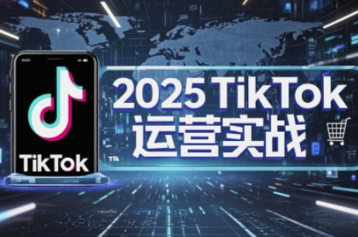 2025TikTok电商运营，掌握TikTok店铺运营核心技巧，实现低成本高转化-酉宸轻创社