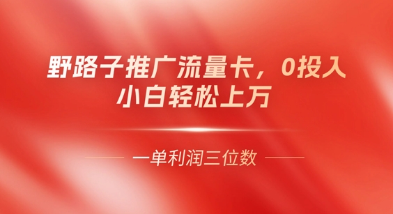 0门槛推广流量卡，一单收益上百，0投入，小白月入过W-酉宸轻创社