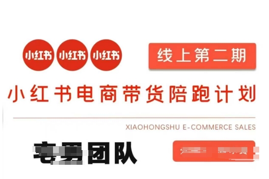 小红书电商带货课2期,月利润20个的小红书电商的有货源,无货源,虚拟产品,付费投流等整套玩法-酉宸轻创社